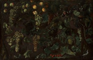 Vinrankor och frukt, med tre vipstjärtar, ca. 1615-18.