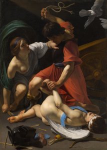 Amor tuktad