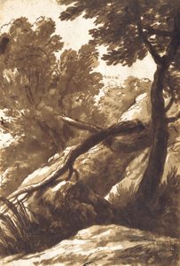 Skogbevuxen landskap av Bartolomeo Torregiani