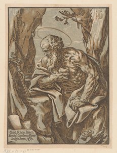 Saint Hieronymus i vildmarken