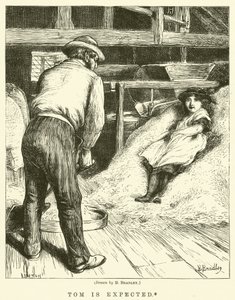 Tom väntas av Basil Bradley