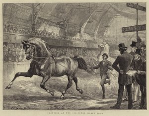 Trav på Islington Horse Show av Basil Bradley