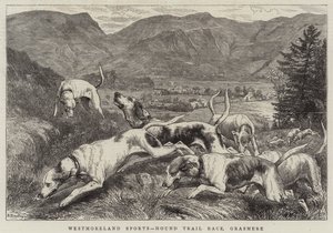 Westmoreland Sports, Hound Trial Race, Grasmere av Basil Bradley