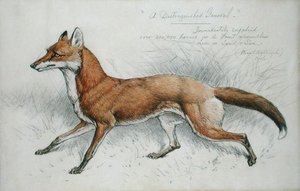 "En framstående general" av Basil J. Nightingale