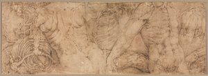 Torsos med revbensburar, tidigt 1540-tal. av Battista Franco
