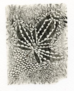 Ivy, 2014, (trägravyr på papper) av Bella Larsson