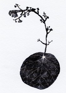 Lichen Leaf, 2014 (Trägravyr, collage på papper) av Bella Larsson