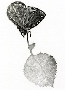 Spänning, 2014 (Trägravyr, collage på papper) av Bella Larsson