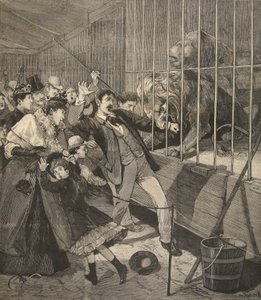 Besökare attackerad av ett lejon i ett menageri, från 