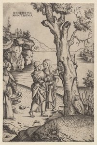 Birth of Adonis (från serien: The Metamorphoses)