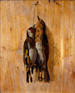 Studie av efter naturen Två döda fågelnålar på väggen. Målning av Benedetto Musso (1835-1883) 1864 cirka sön. 20,5x16,5 cm gener, Galleria d