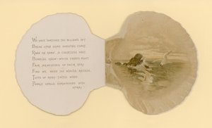 Illustration till häftet med titeln Sea Shells (color litho)