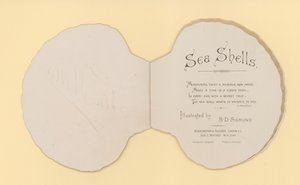 Illustration till häftet med titeln Sea Shells (color litho)
