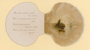 Illustration till häftet med titeln Sea Shells (color litho)