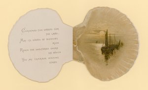 Illustration till häftet med titeln Sea Shells (color litho)