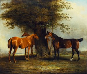 Jägare på gräs, 1801 av Benjamin Marshall