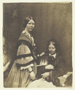 Mrs. Craik Holding Cat, c. 1858. av Benjamin Mulock