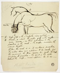 Skiss av häst med notationer av Benjamin Robert Haydon