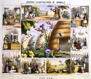 Biet, c1850
