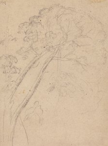 Kostymstudie för porträtt av en dam av Benjamin West