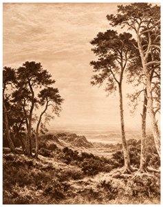 Solnedgång efter regn, 1903 av Benjamin Williams Leader