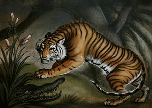 Tiger och krokodil, ca 1810 (sandbild ombord) av Benjamin Zobel