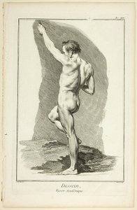 Design: Academic Figure, från Encyclopédie