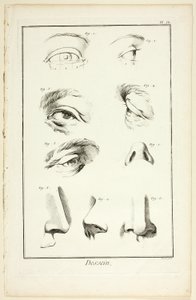 Design: Facial Anatomy från Encyclopédie