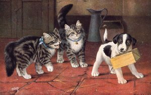 Vykort med katt (färglitografi)