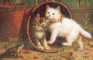 Vykort med katt (färglitografi)