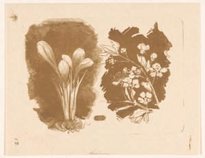 Krokusar och en gren med blomning av Bernard Willem Wierink