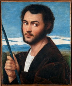 Porträtt av en man par Licinio, Bernardino (ca 1489-ca 1565). Olja på duk, storlek: 32x25,5, första halvan av 1500-talet, Fondazione Cini, Venezia