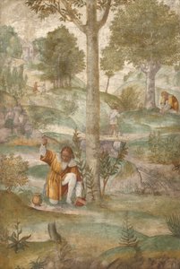 Kefalos gömmer juvelerna av Bernardino Luini