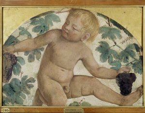 Skörda putti - Putto under en pergola, ca 1514 (fristående fresk ombord) av Bernardino Luini