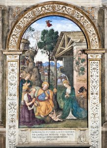 Tillbedjan av herdarnas fresk av Pinturicchio (Bernardino di Betto) (1454-1513) 1484-1492 Basilikan Santa Maria del Popolo (kyrkan Santa Maria del Popolo), Cappella Basso della Rovere Rom Italien