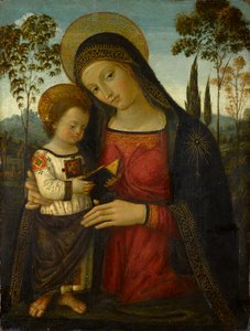 Madonna och barn, cirka 1490-1495 (tempera på panel)