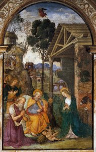 Nativity med St. Hieronymus, ungdomlig fresk av Bernardino Betti känd som Il Pinturicchio av Bernardino di Betto Pinturicchio