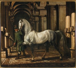 Stallpojke som leder en häst av Bernardo Bellotto