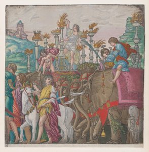 Blad 5: Elephants, från The Triumph of Julius Caesar, 1599.
