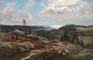 Utsikt över Ladoga