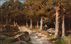 Kvinna i skogen