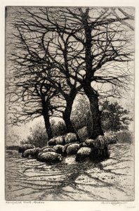 Hampstead Heath, London