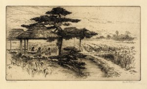 Iris trädgård av Bertha E. Jaques
