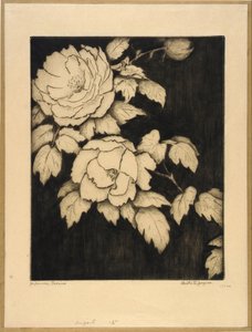 Japanska pioner av Bertha E. Jaques