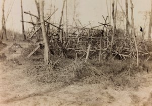 Album av första världskriget i Friuli-Venezia Giulia: defensivt hinder (frisiska hästar), 05/1916 (s/v foto) av Bertoni Bertoni