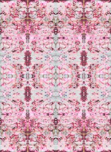 Burgandy Rose, 2015 (blandteknik, illustration, digital)