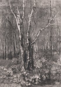 Skogen i parken nära Monza, 1895.