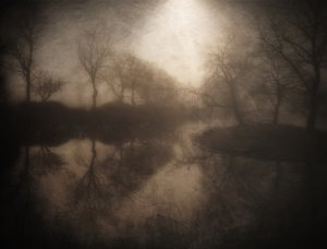 Spegling i den dimmiga skogen av Bill Eiffert