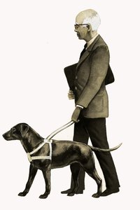 Ledarhund för blinda