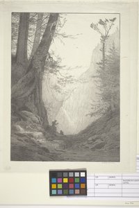 Big Cedars (bläck på papper, litografi) av Bolton Coit Brown